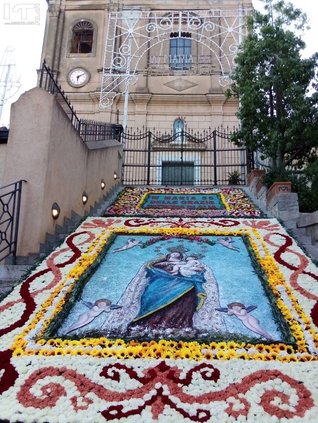 Infiorata Madonna delle Grazie 2019