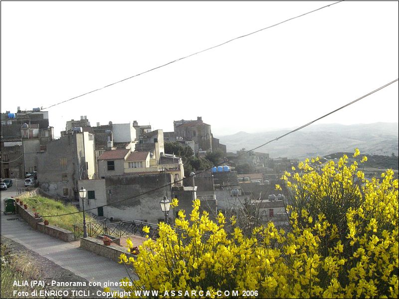 Panorama con ginestra