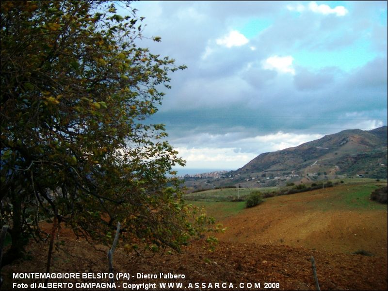 Dietro l'albero