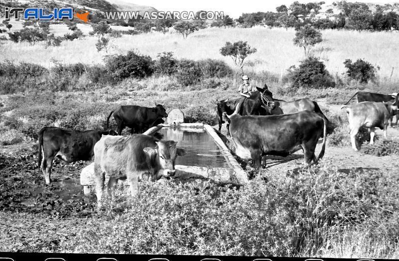 In contrada  Montagna anno 1968