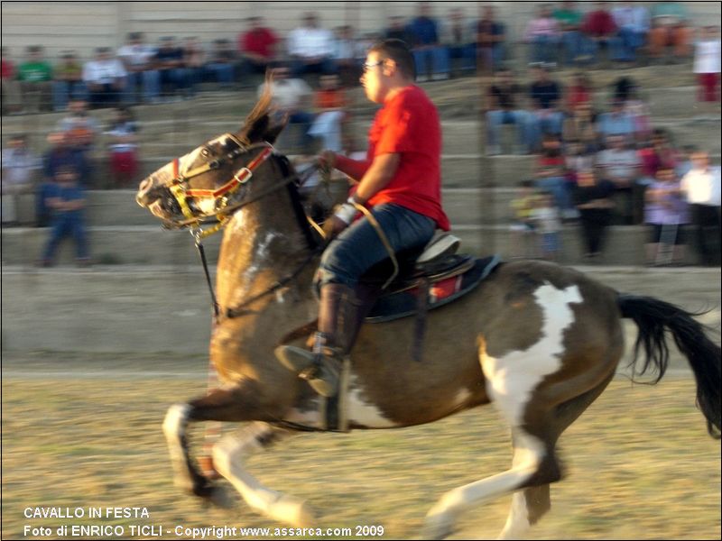 CAVALLO in FESTA