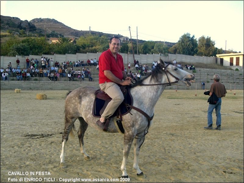 CAVALLO in FESTA