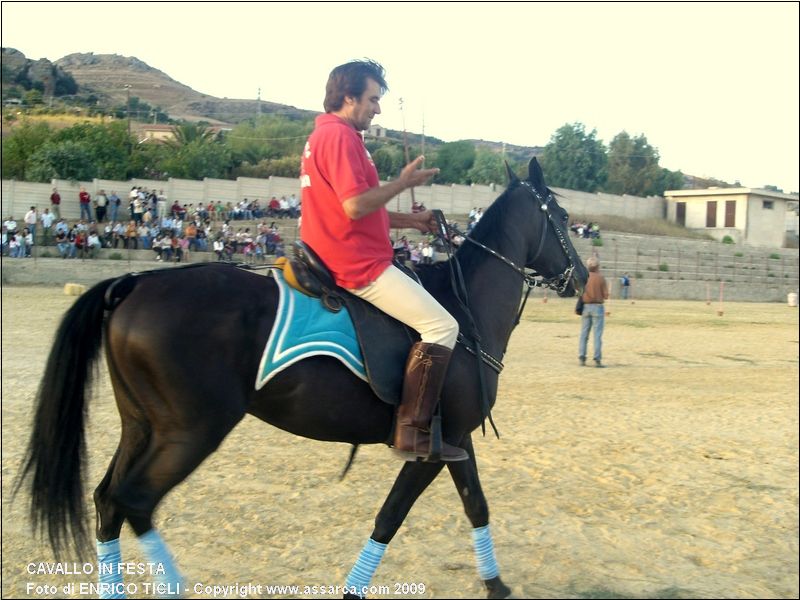 CAVALLO in FESTA