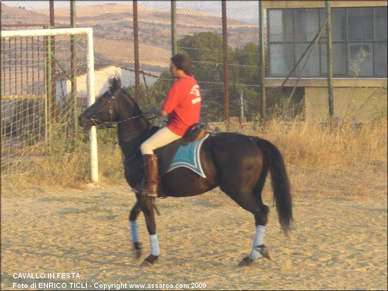 CAVALLO in FESTA