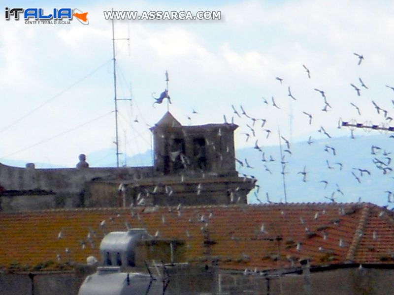 Stormo di uccelli sulla chiesa