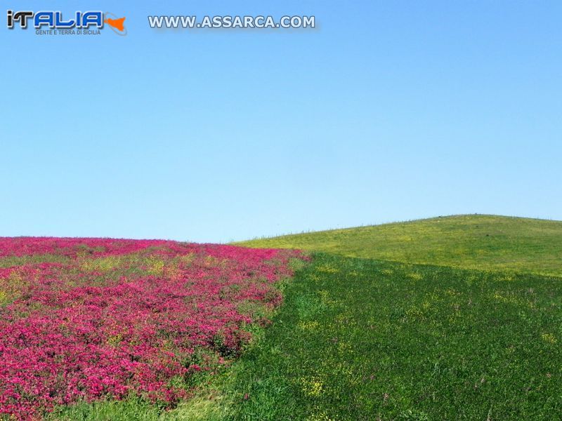 Colori di primavera