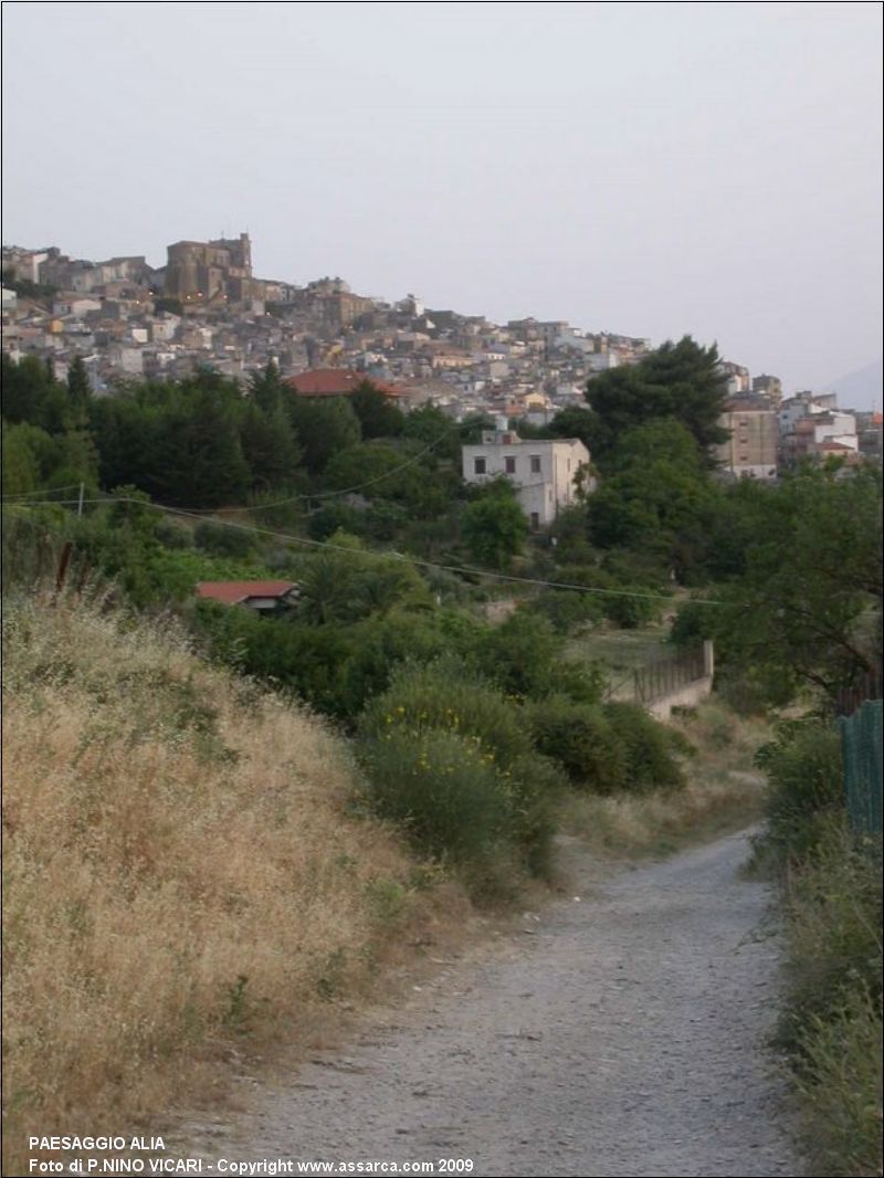 Paesaggio Alia