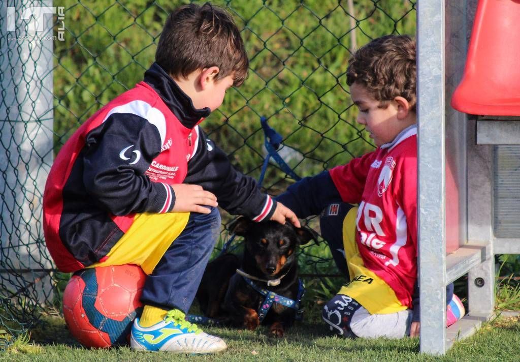 Coccole tra cuccioli