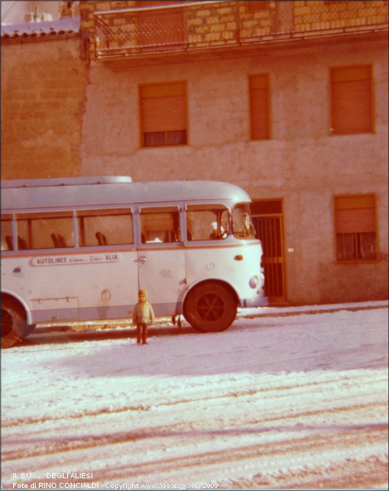 Il bus ... degli Aliesi