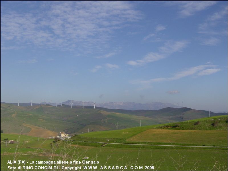 La campagna aliese a fine Gennaio