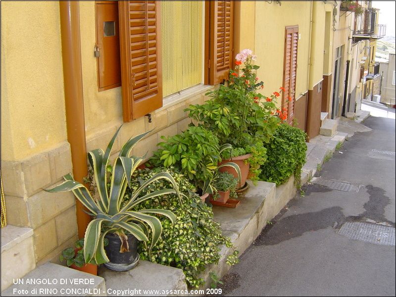 Un angolo di verde