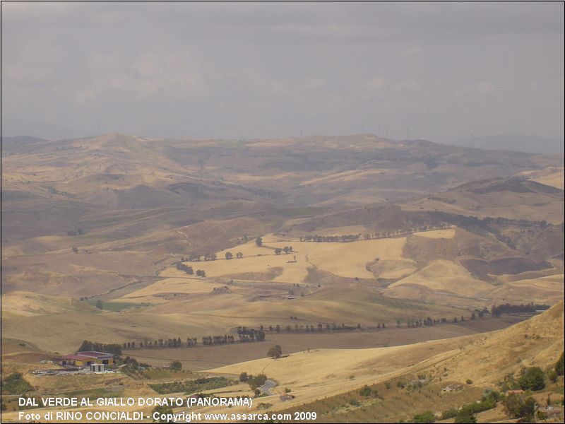 Dal verde al giallo dorato (panorama)