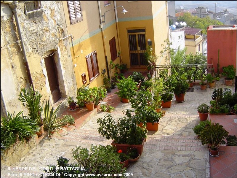 Il verde del Cortile Battaglia