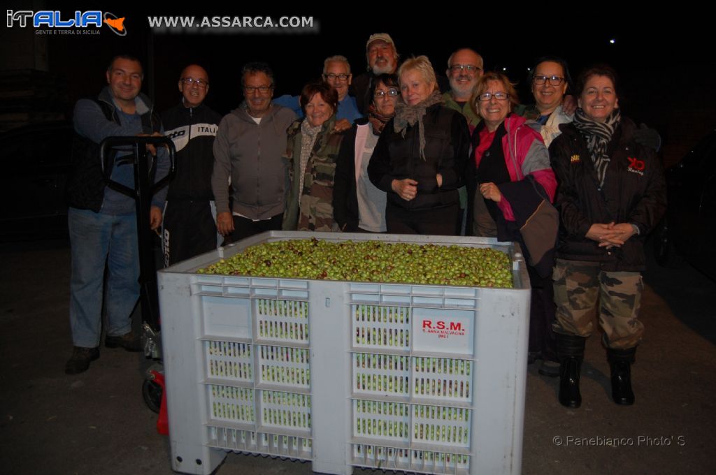 Raccolta olive 2013 a cura delle famiglie Lo Presti -  Mobilia (France)