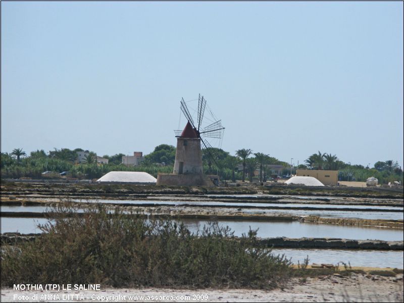 Mothia (TP) - Le saline