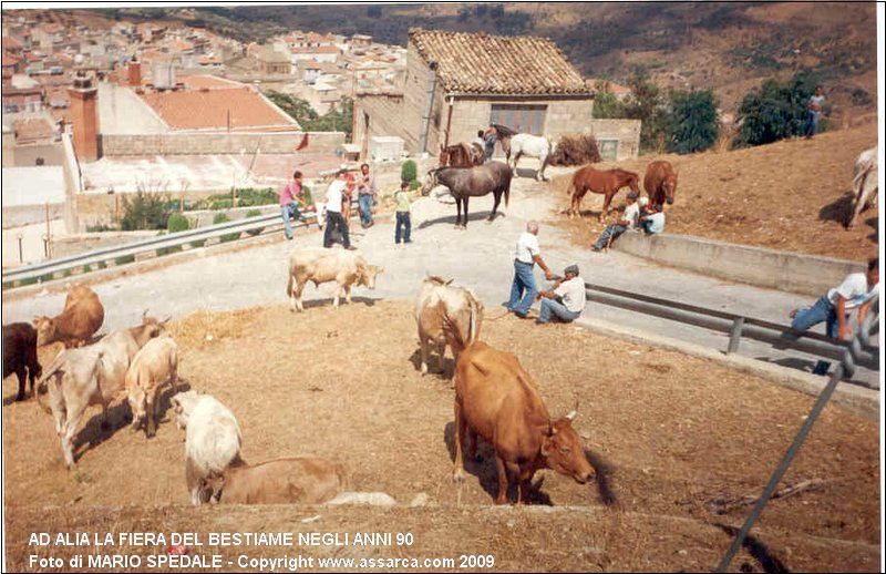 Ad Alia la fiera del bestiame negli anni 90