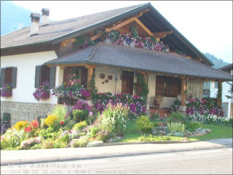 sulla strada vicino a sappada