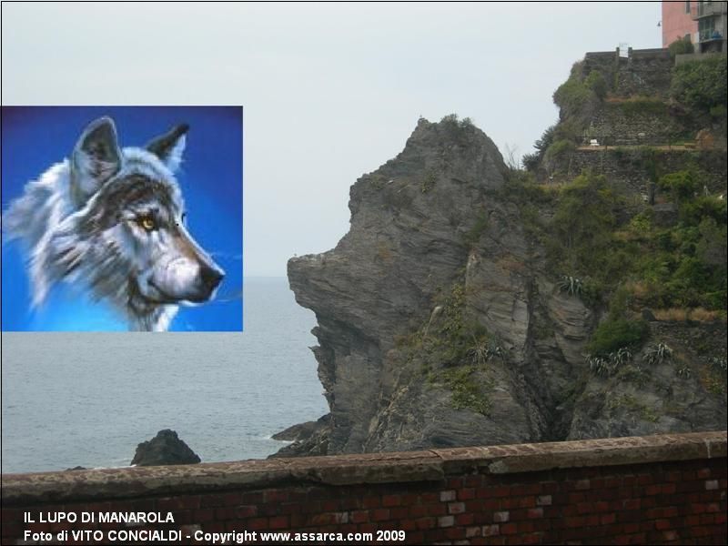 Il Lupo di Manarola