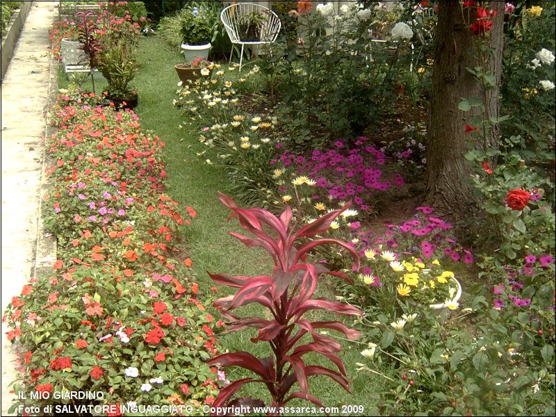 IL MIO GIARDINO