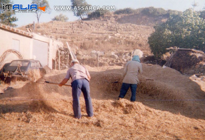 la spagliatina della paglia x poi raccogliere il grano.