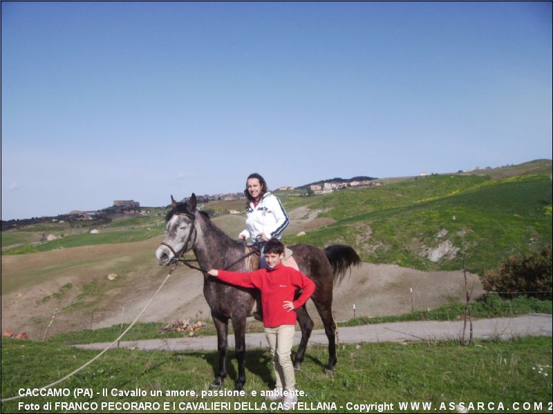 Il Cavallo un amore, passione  e ambiente.