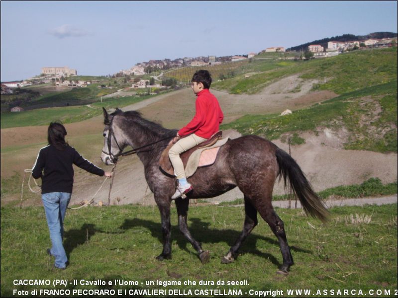 Il Cavallo e l`Uomo - un legame che dura da secoli.