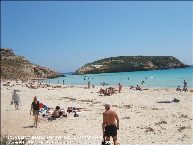 ISOLA DEI CONIGLI LA SPIAGGIA DELLE TARTARUGHE