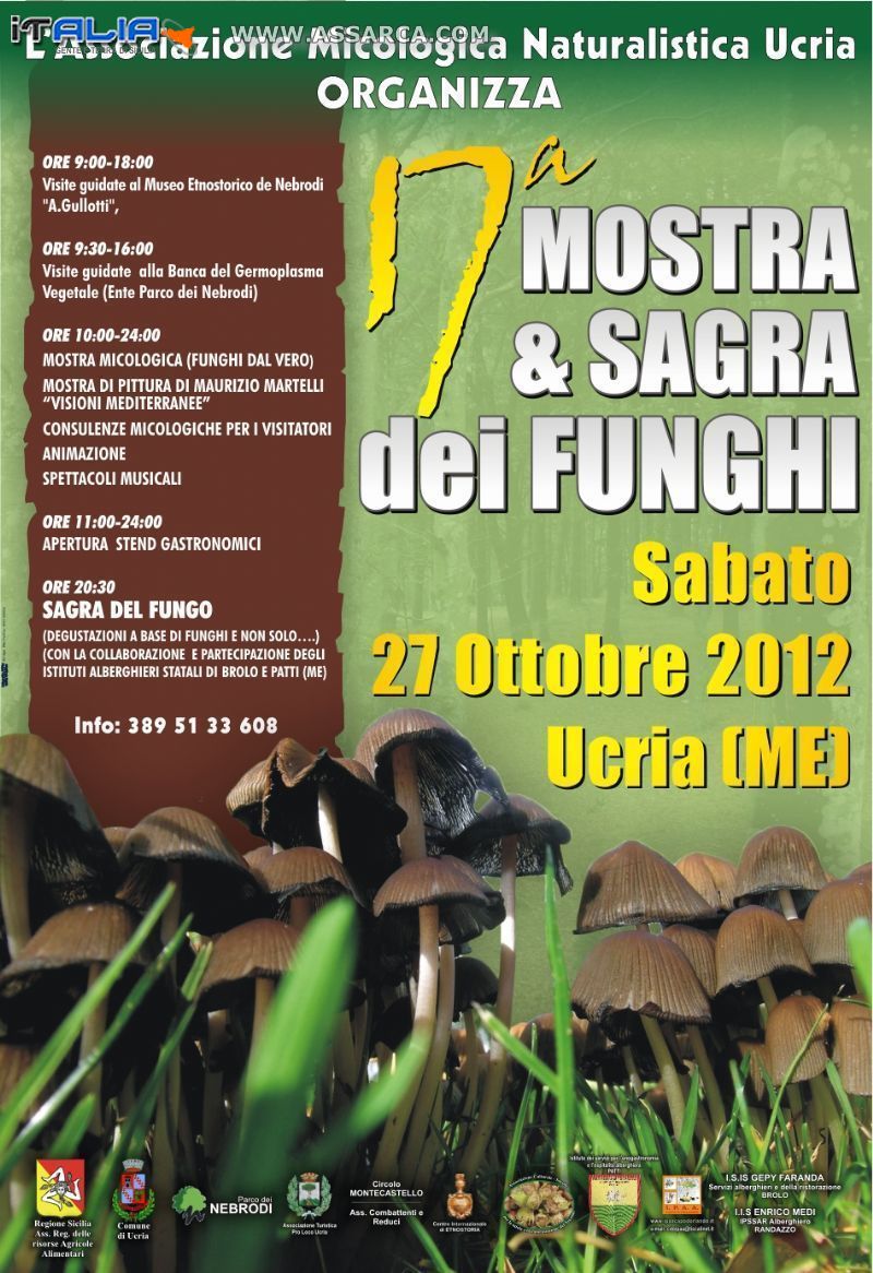 MOSTRA E SAGRA DEI FUNGHI