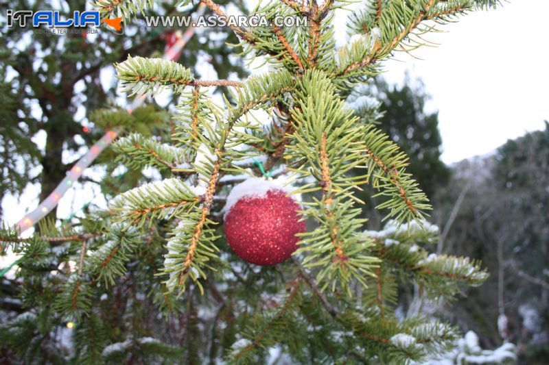 auguri di Buon Natale a tutti