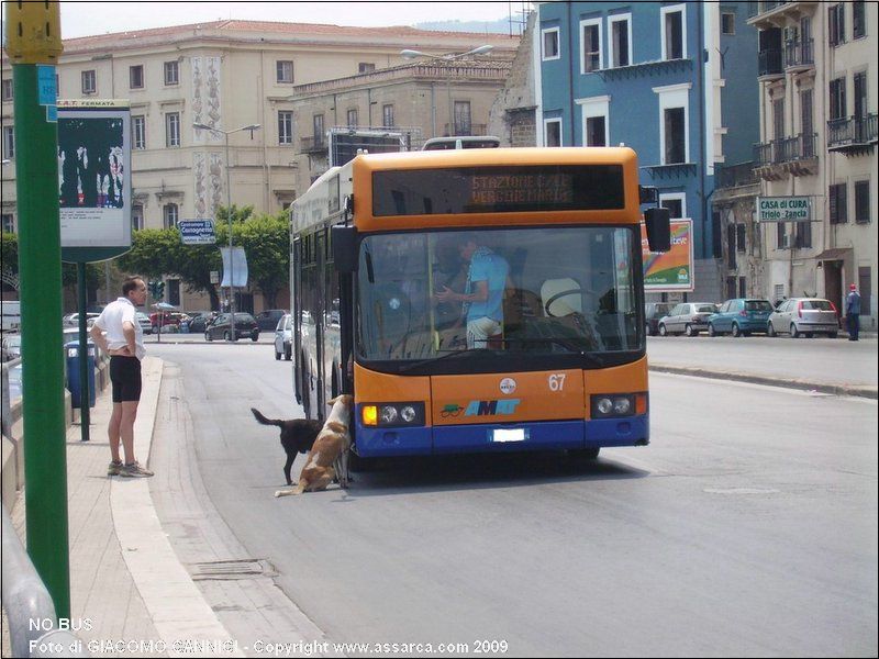 NO BUS