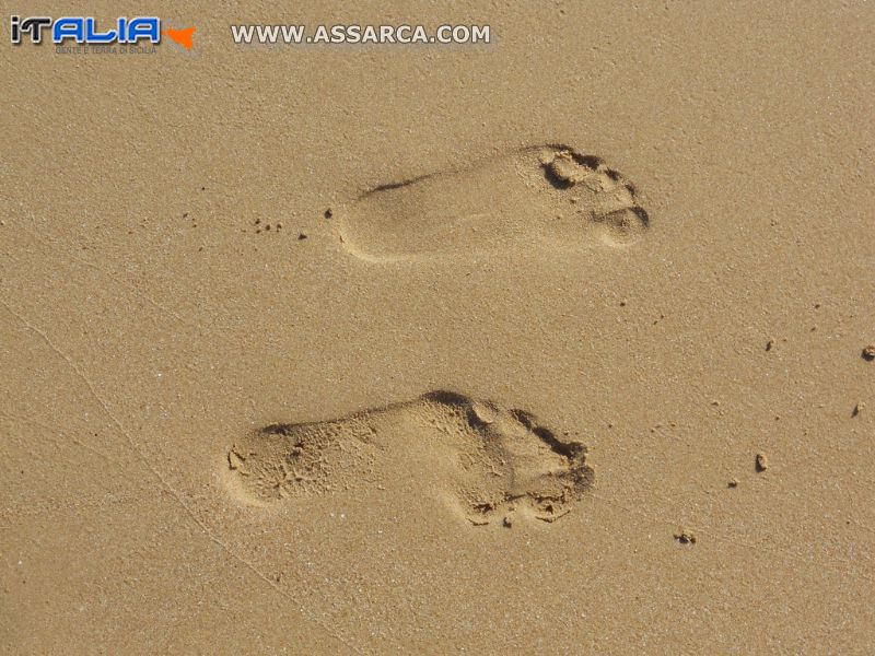 ORME SULLA SPIAGGIA