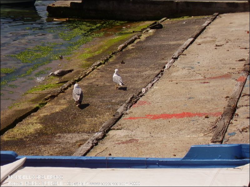 Mondello (Palermo)