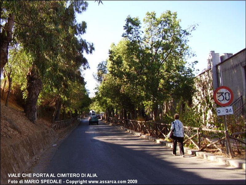 Viale che porta al Cimitero di Alia.