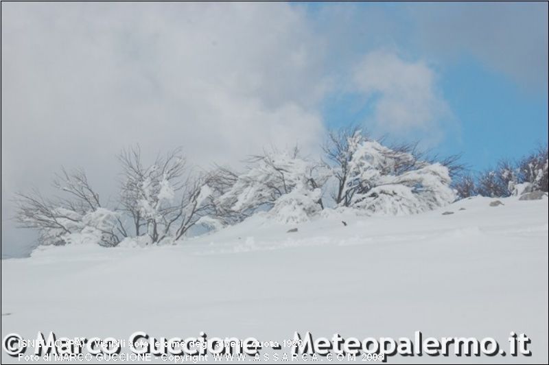 Visibili solo le cime degli alberi...quota 1920