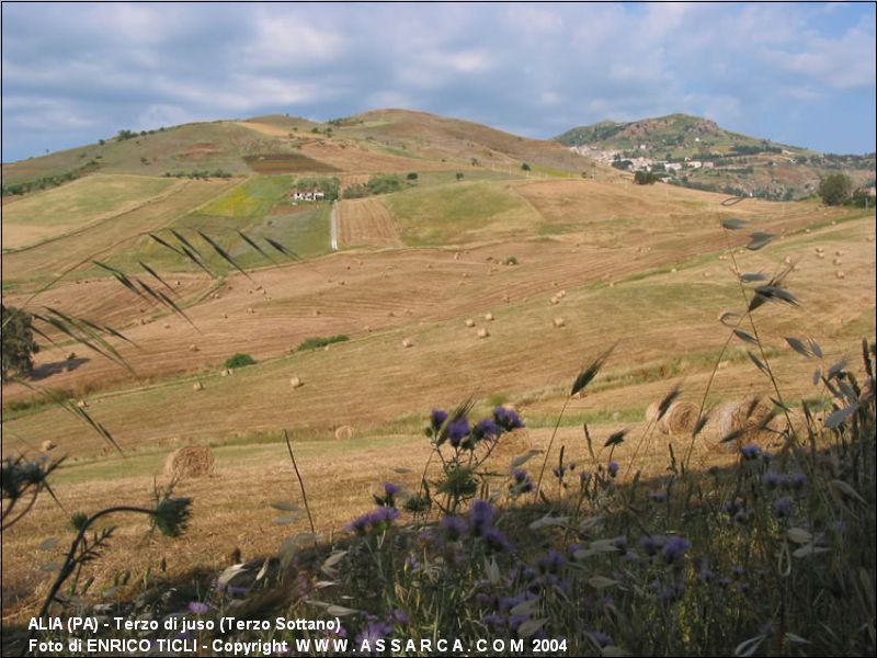 Terzo di juso (Terzo Sottano)