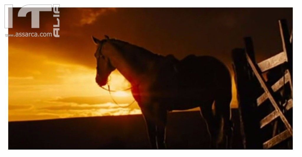 War Horse (tratta dal film)