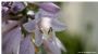 Natura : foto di Tommaso Puglisi