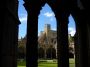 Cattedrale di Canterbury: il chiostro
